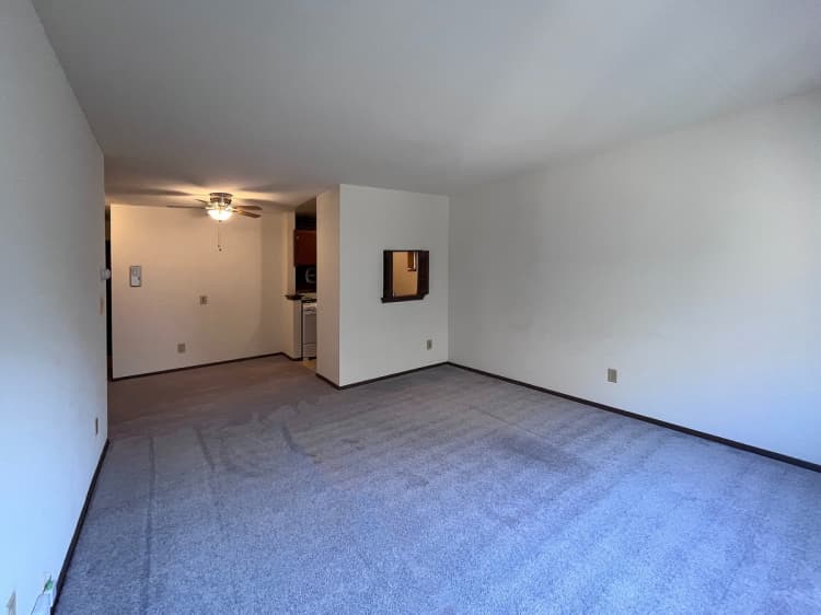 Milwaukee County apartments for rent - image - Classic 1 Bed / 1 Bath - 700 SF - Living Room