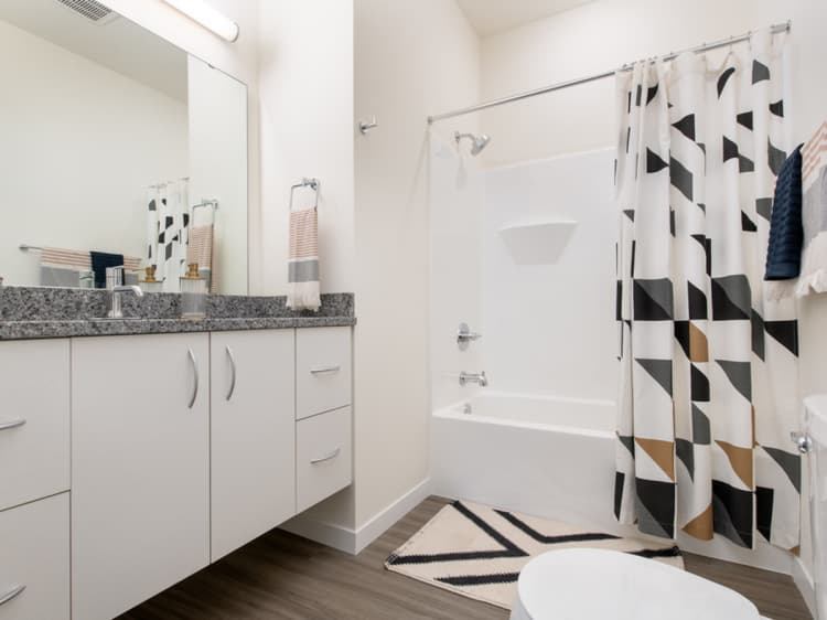 Milwaukee County apartments for rent - image - Vista - 1 Bed / 1 Bath - 708 SF - Bathroom
