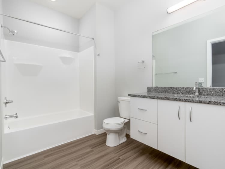 Milwaukee County apartments for rent - image - Zen - 2 Bed / 2 Bath - 1,306 F - Bathroom