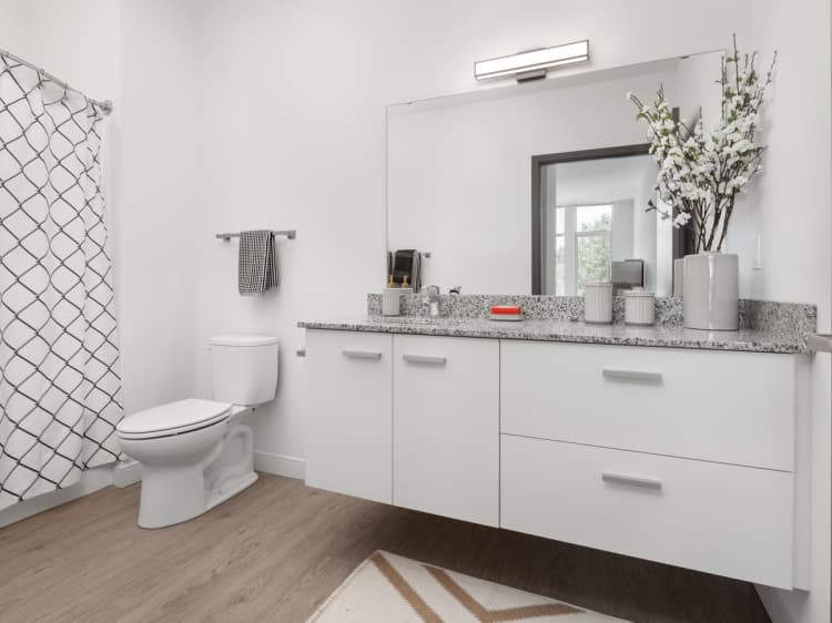 Milwaukee County apartments for rent - image - 2 Bed / 2 Bath - 1,037 SF - Bathroom