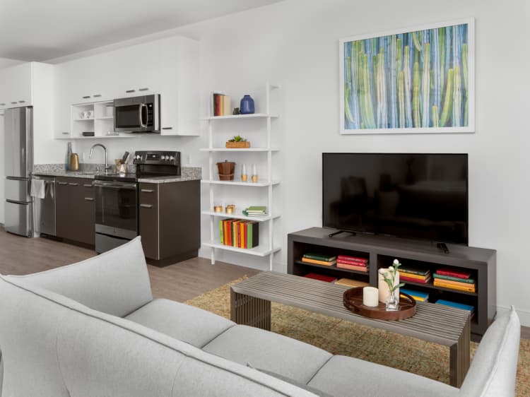 Milwaukee County apartments for rent - image - Studio - 540 SF - Living Room