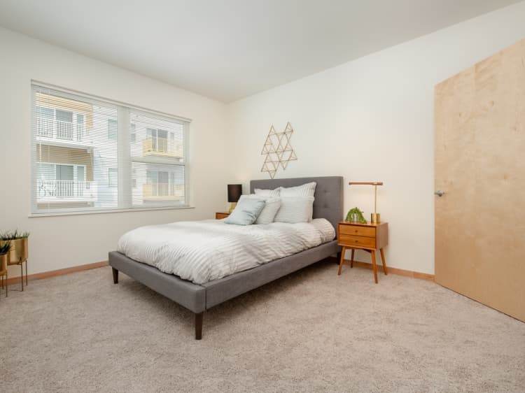 Milwaukee County apartments for rent - image - 1 Bed / 1 Bath - 702 SF - Bedroom