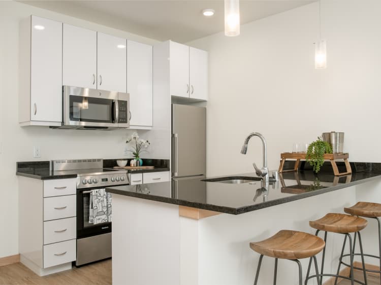 Milwaukee County apartments for rent - image - 1 Bed / 1 Bath - 702 SF - Kitchen