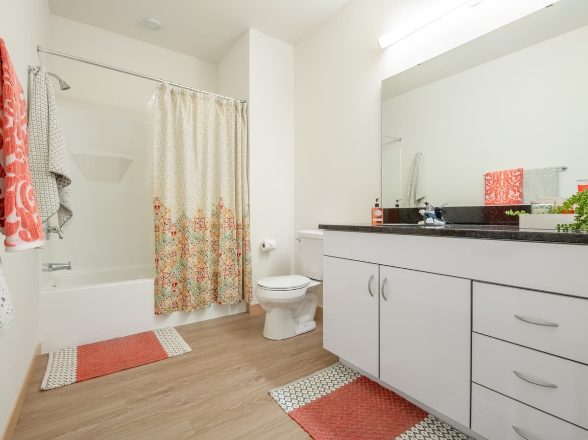 Milwaukee County apartments for rent - image - 1 Bed / 1 Bath - 702 SF - Bathroom