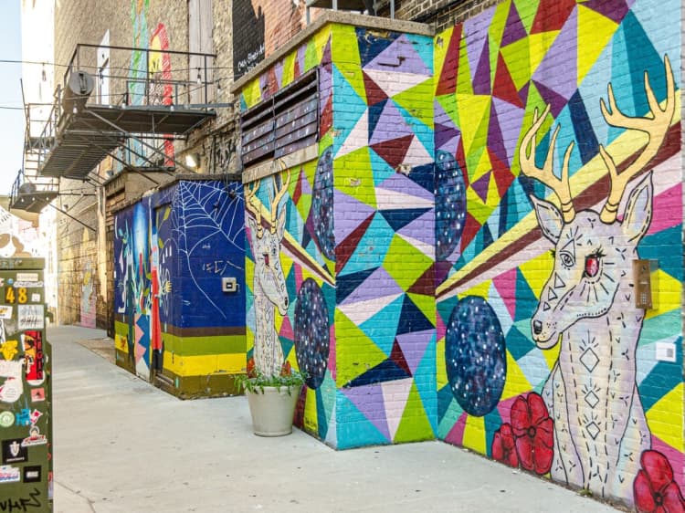 Milwaukee County apartments for rent - image - Black Cat Alley