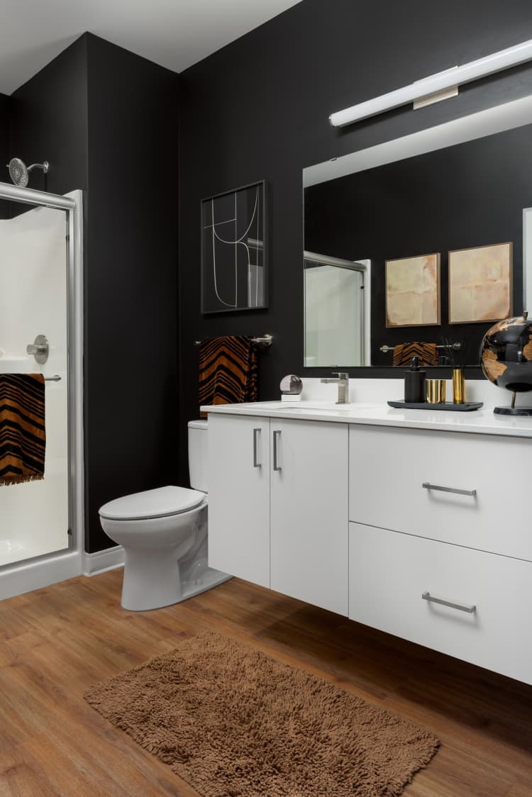 Milwaukee County apartments for rent - image - Supermoon Bathroom