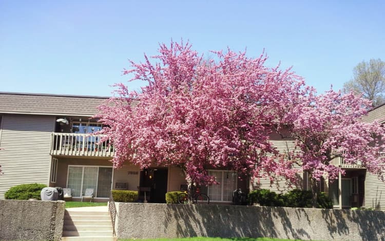 Milwaukee County apartments for rent - image - wildwood-preserve-exterior886274-1920w.jpeg