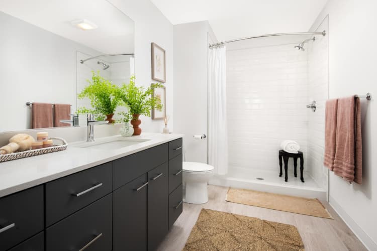 Milwaukee County apartments for rent - image - yardi_image_1789454713915_57_20138237