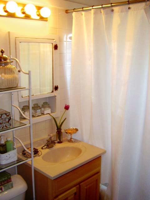 Milwaukee County apartments for rent - image - shorewood-jarvis-street-apartments-bath.jpg