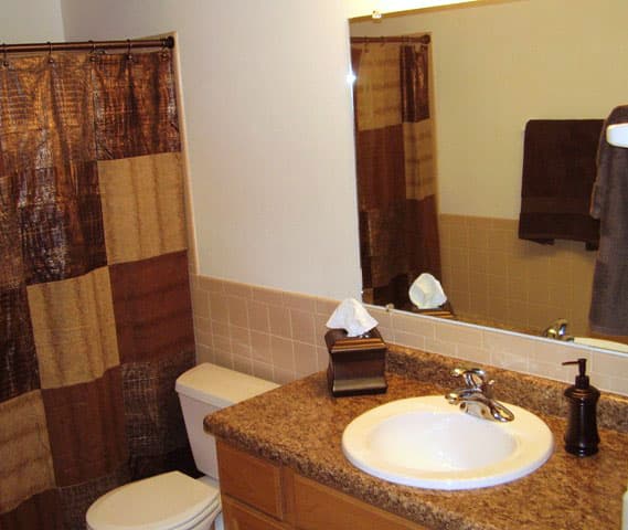 Milwaukee County apartments for rent - image - nw-milwaukee-rivercourt-apartments-bath-1.jpg