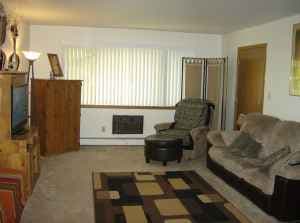 Milwaukee County apartments for rent - image - nw-milwaukee-rivercourt-apartments-living-room.jpg