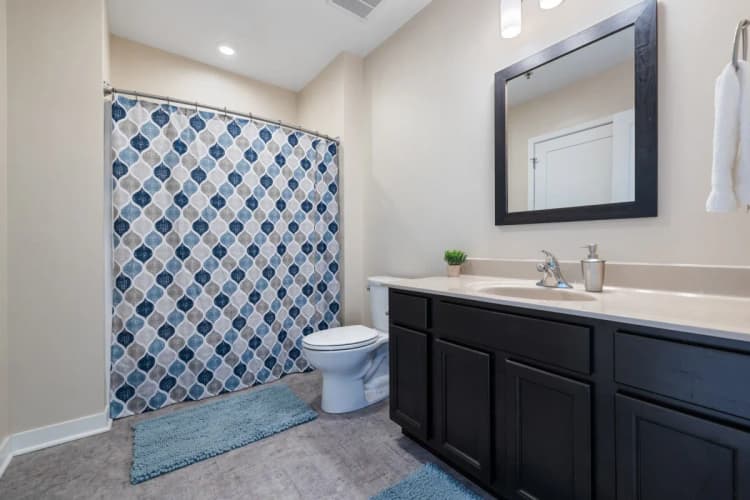 Milwaukee County apartments for rent - image - The Artisan Lofts - Bathroom 3.webp