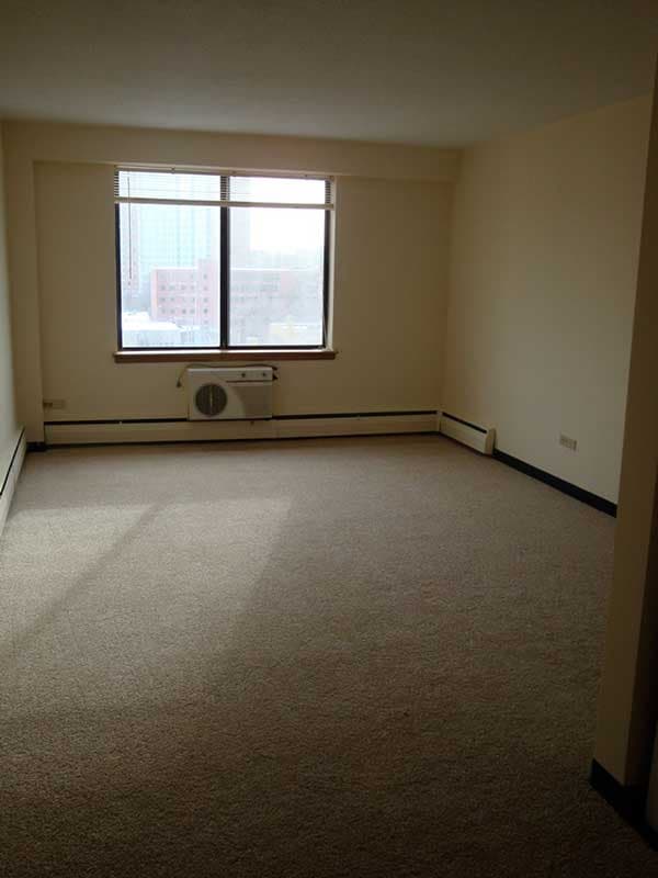 undefined apartments for rent - image - LakeSummit-2233-1br-lr.jpg