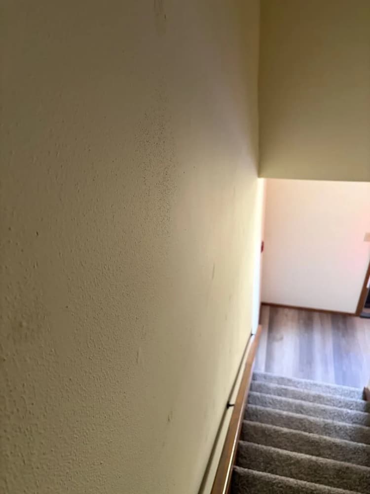 Milwaukee County apartments for rent - image - image-11.jpg