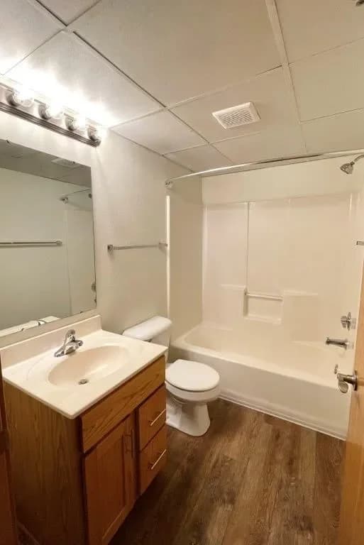 Milwaukee County apartments for rent - image - Historic Fifth Ward Lofts - Toilet.webp