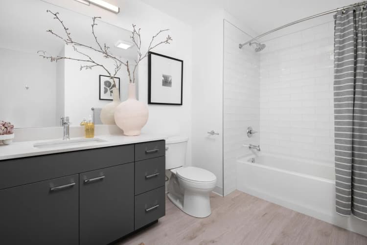 Milwaukee County apartments for rent - image - yardi_image_1790145914458_56_20138208