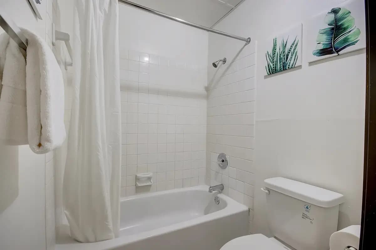 undefined apartments for rent - image - 65d8de1c466814.49780364508.jpg