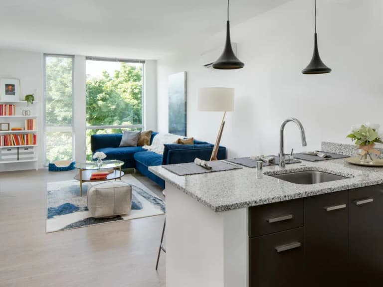 undefined apartments for rent - image - 60748d9ae23733.86550396700.webp