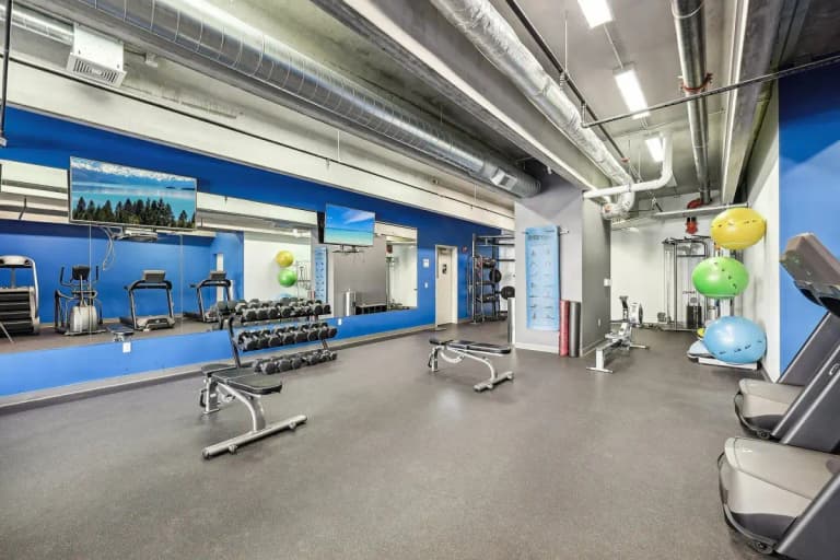 undefined apartments for rent - image - 674e0a0b756458.95026387844.webp