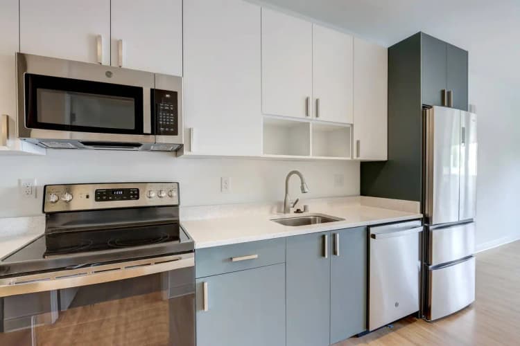 undefined apartments for rent - image - 62fbe0eb7c1c97.20905535711.jpg