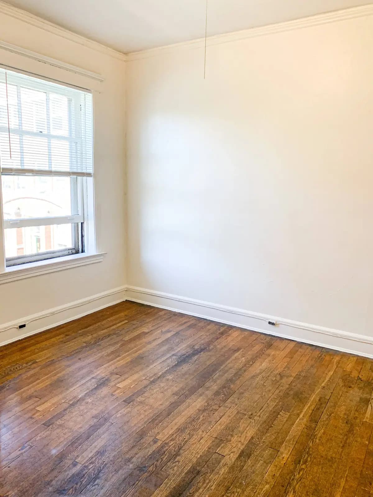 undefined apartments for rent - image - 62fd2ca7cba0a9.85820359611.webp