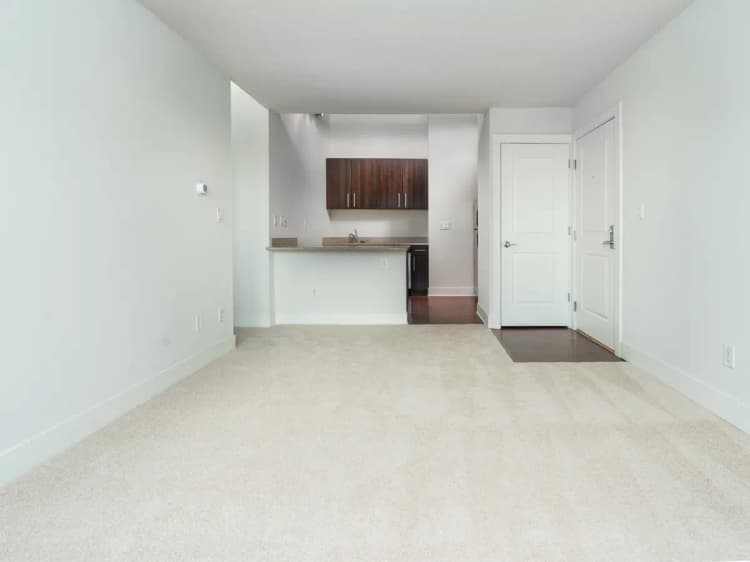 undefined apartments for rent - image - 609ad0eb4c92b1.99568364895.jpg