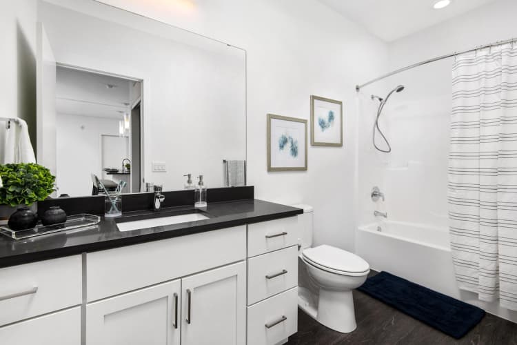 undefined apartments for rent - image - yardi_image_1769080850382_4