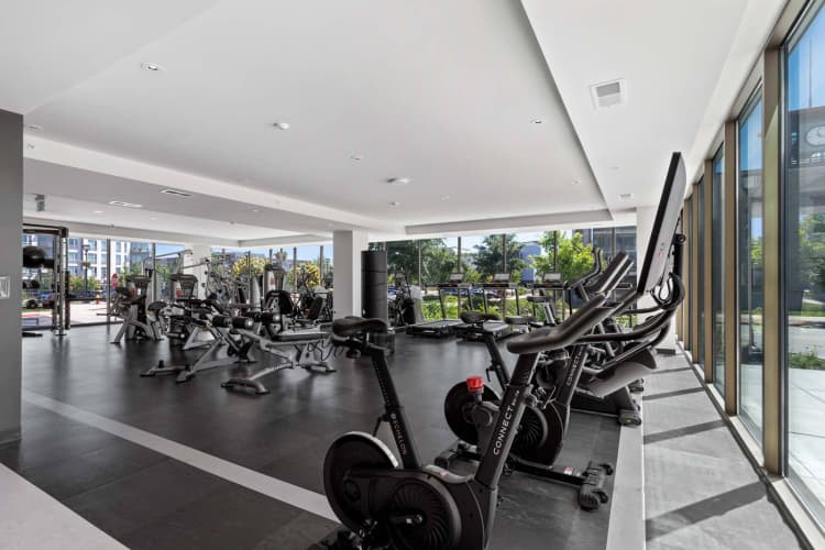 undefined apartments for rent - image - yardi_image_1769080850382_19