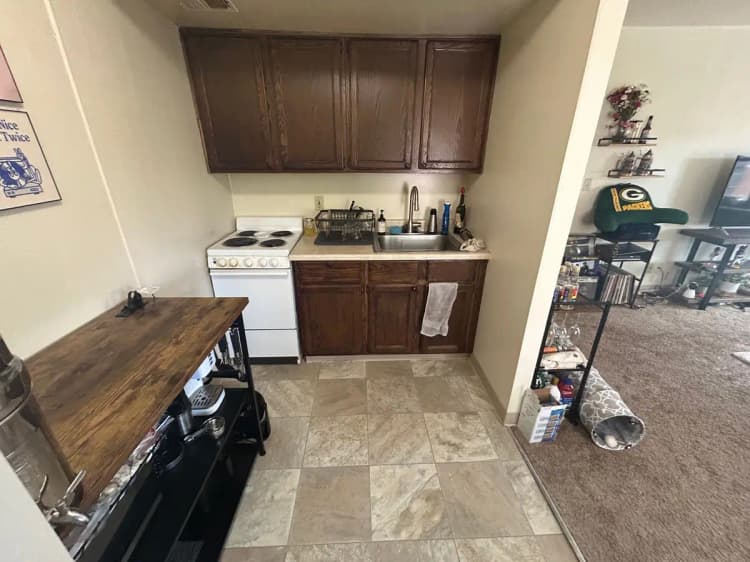 undefined apartments for rent - image - large (16).jpeg