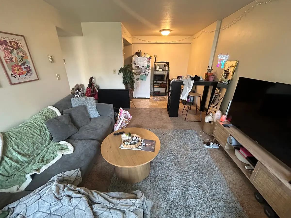 undefined apartments for rent - image - large (30).jpeg - 1