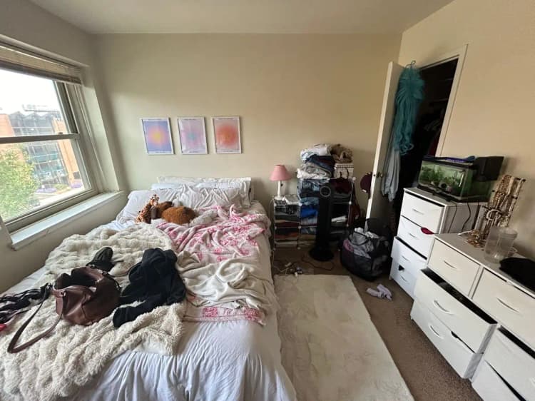 undefined apartments for rent - image - large (32).jpeg