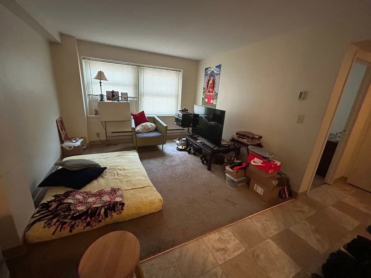 undefined apartments for rent - image - large (39).jpeg - 2