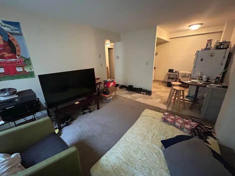 undefined apartments for rent - image - large (41).jpeg