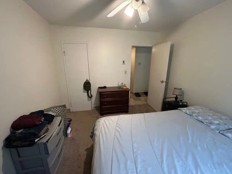 undefined apartments for rent - image - large (43).jpeg