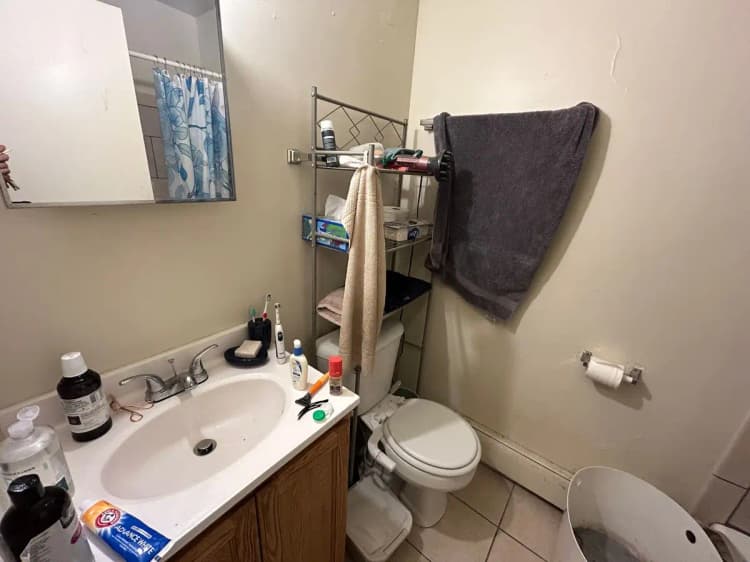 undefined apartments for rent - image - large (45).jpeg