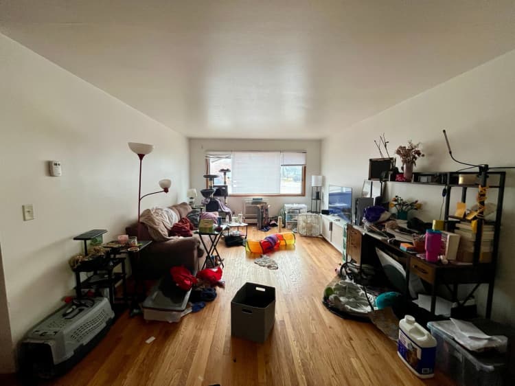 undefined apartments for rent - image - large.jpeg