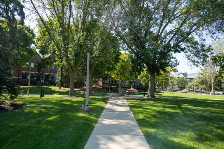 undefined apartments for rent - image - 202440_100075942_6499d6668a1c99.58897679172.webp