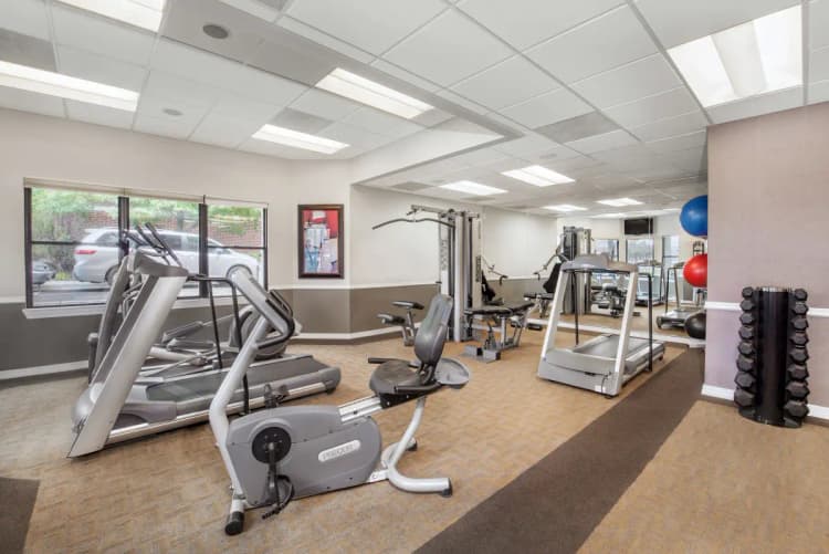 undefined apartments for rent - image - 43663_100075942_5cb73a2454a810.97490939678.webp