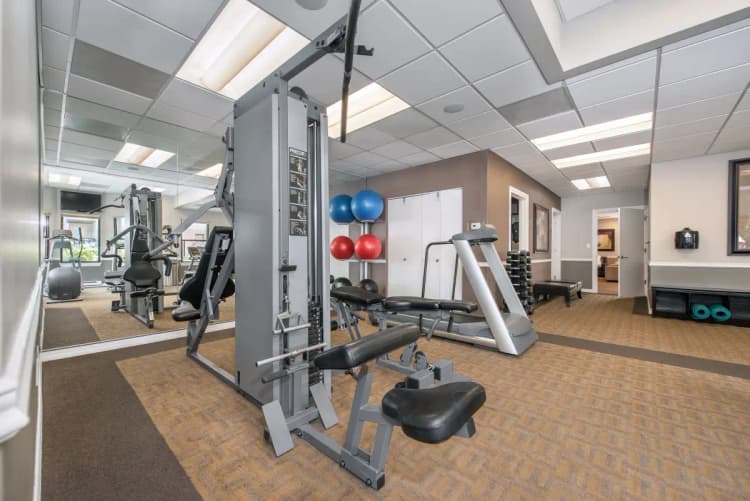 undefined apartments for rent - image - 43664_100075942_5cb73a24d6f7c2.82620724172.webp