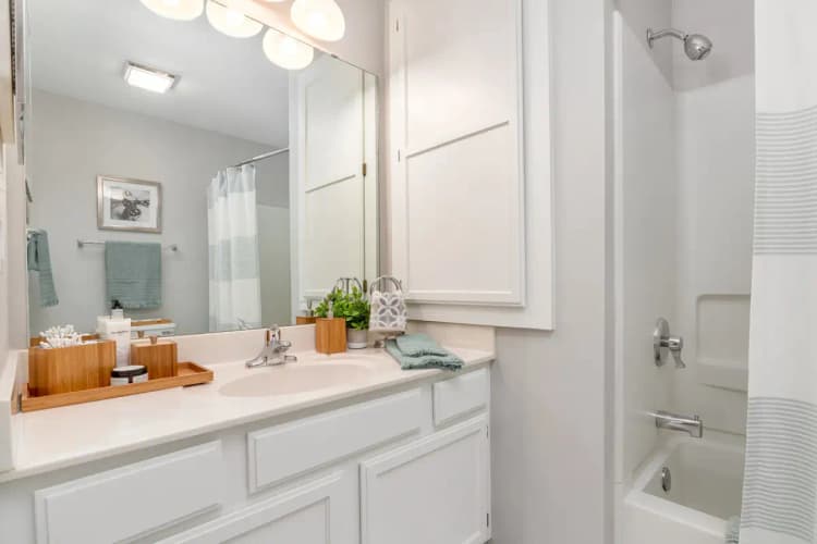 undefined apartments for rent - image - 43859_100075942_5e7bc9a3a8de53.14609444954.webp