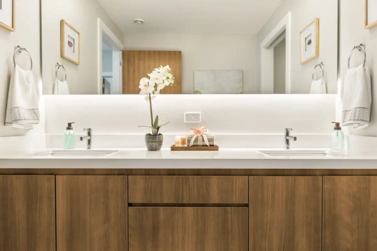 undefined apartments for rent - image - 5c94ff855bef06.98358461555.webp