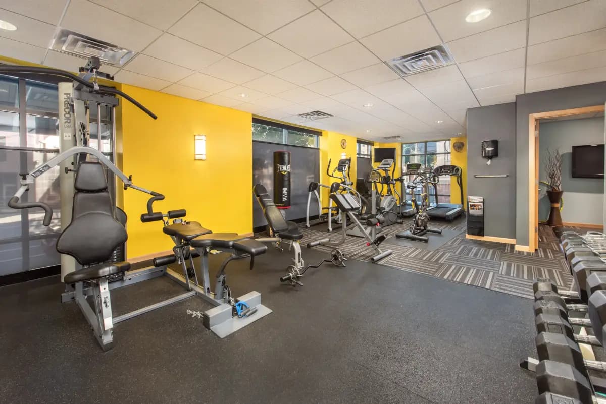 undefined apartments for rent - image - 5c548e367f7736.29250427145.webp