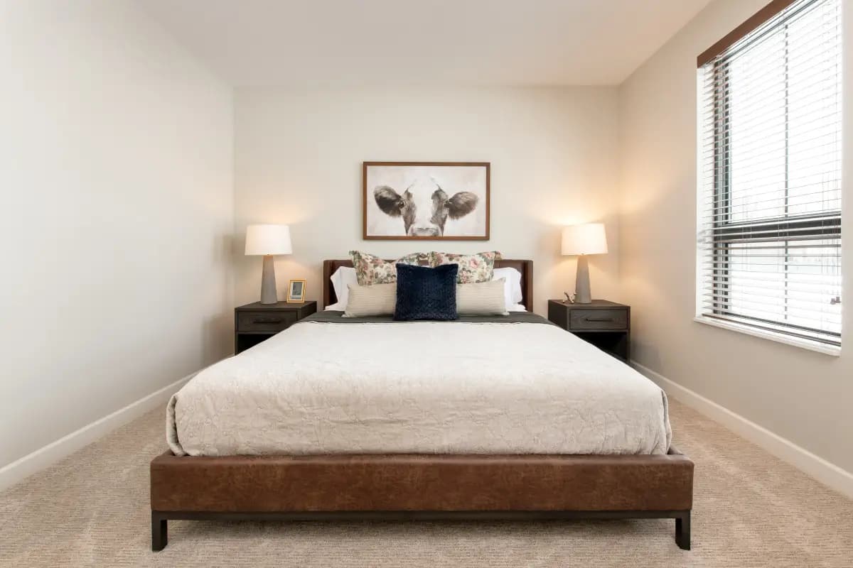 undefined apartments for rent - image - 5c801dcb938e00.08951991653.webp