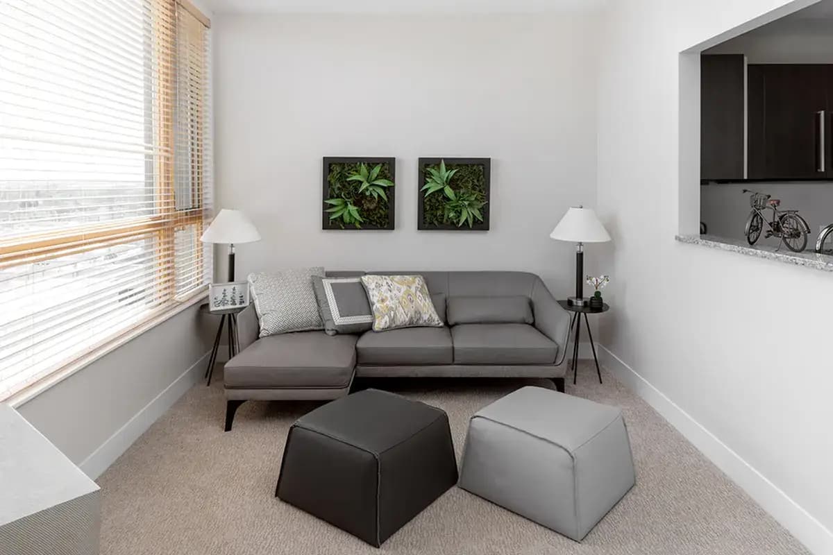 undefined apartments for rent - image - 5ee8022c4d0322.62312171673.webp