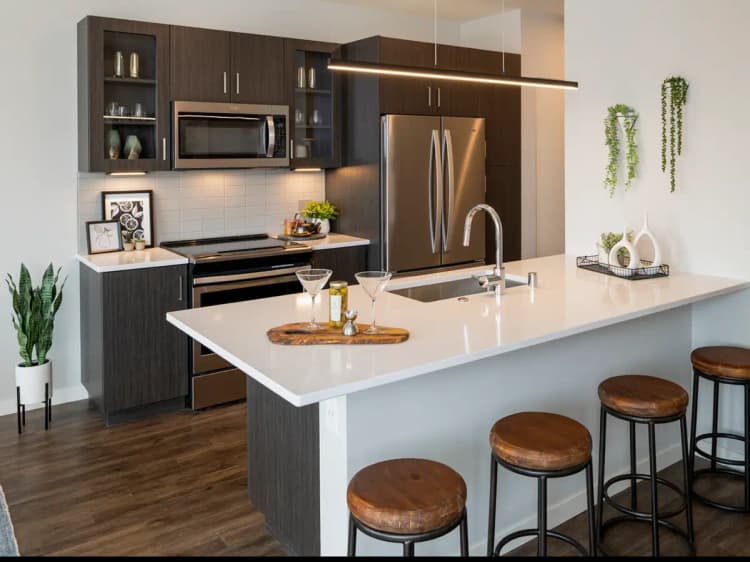 undefined apartments for rent - image - 607e00444322e3.43131420756.webp