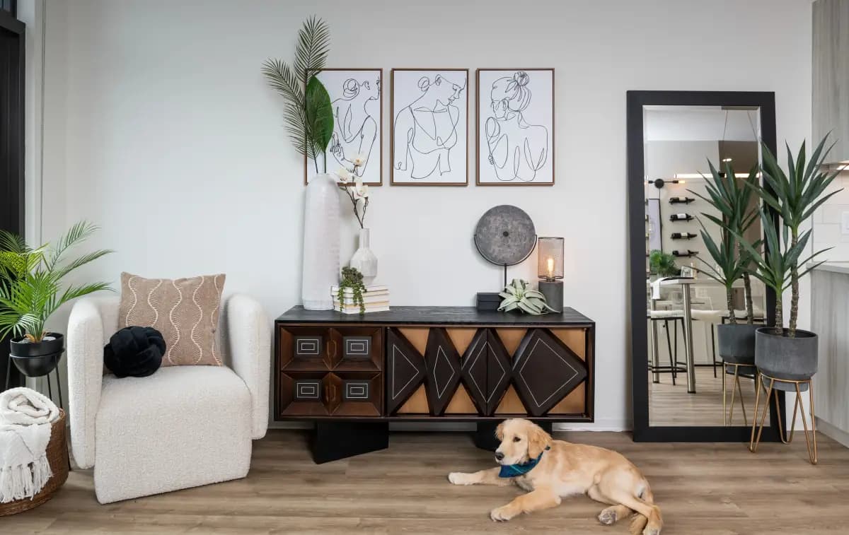 undefined apartments for rent - image - 63a0f729b2af12.66959749950.webp