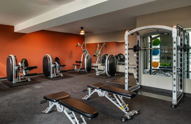 undefined apartments for rent - image - 6553e13e6d1ee6.81080925395.webp