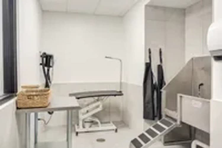 undefined apartments for rent - image - 63e3d01aa5ec79.03482588584.webp