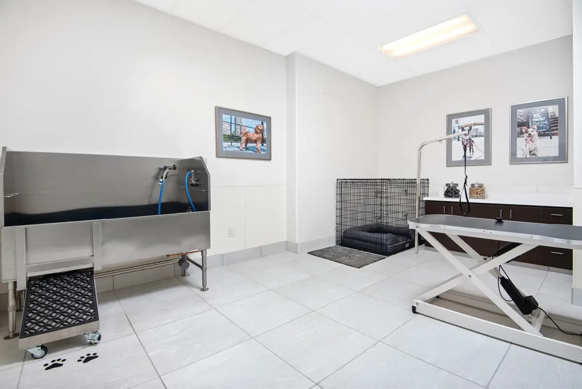 undefined apartments for rent - image - 777_Int_Amenities_DogSpa_June2018.jpg