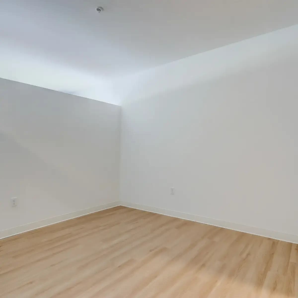 undefined apartments for rent - image - 29_s_5th_st_029.jpeg.webp